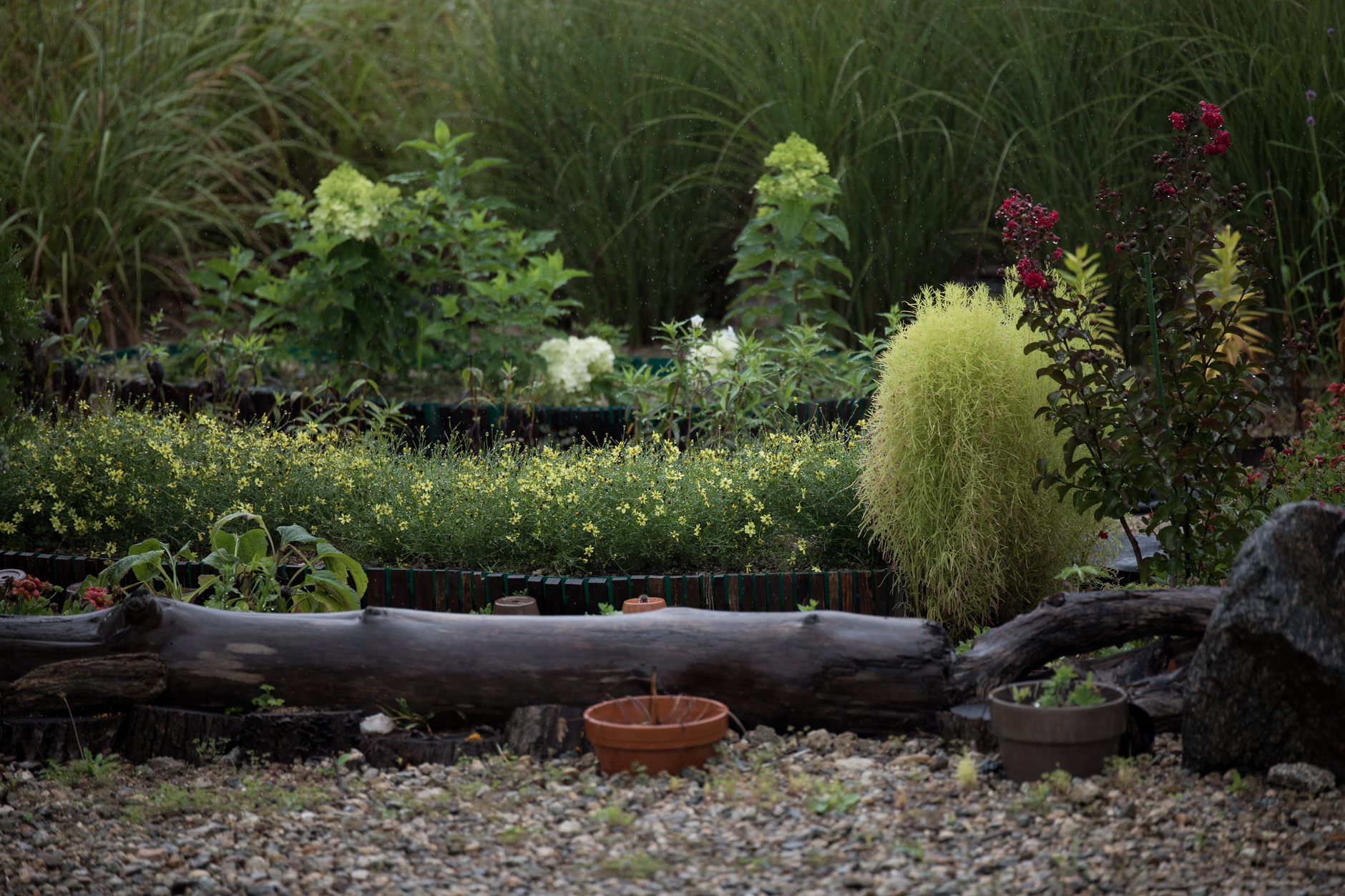 Retaining Wall – Live Oak